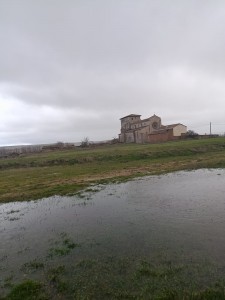 foto (1)