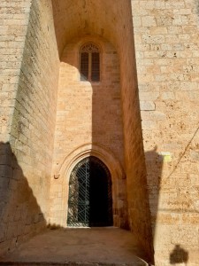 Verja1